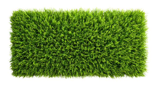 Artificial grass mat on white isolated background, perfect for landscaping and home decor.