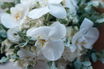 Pétalas de flores brancas delicadas em detalhe