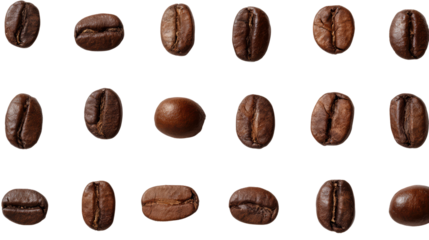Collection of coffee beans arranged on a white isolated background.