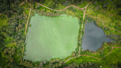 Laguna Parque Alameda 2000 Toluca