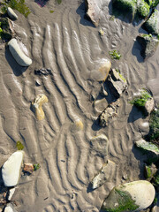 Fragment of the sandy seabed at low tide in Patroclus Bay in Vladivostok in autumn