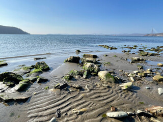 The coastline of Patrokl Bay in Vladivostok in autumn at low tide in sunny weather