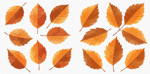 Obraz premium A beautiful collection of watercolor autumn leaves in warm shades of orange, yellow, and brown, isolated on a transparent background.