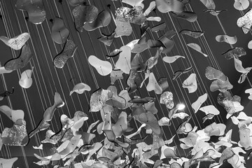 Black and white photo of abstract ceiling art with floating shapes suspended by strings. Perfect stock image for modern art, design, creativity, minimalism, architecture, and contemporary interiors.