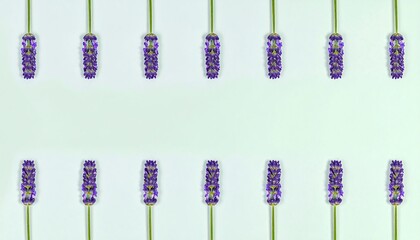 Symmetrical arrangement of fresh lavender blossoms on a light, calming backdrop