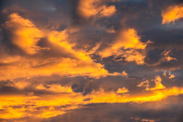 Yellow clouds fill the sky at sunset over Sydney, Australia, creating a dramatic and colorful evening scene.