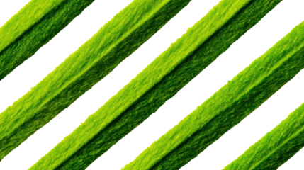 Green plant leaves arranged in a diagonal pattern on a dark background.
