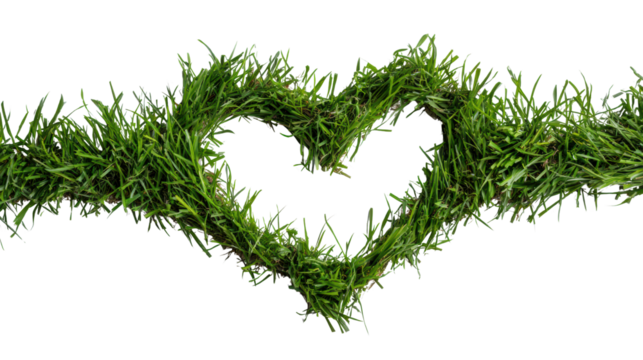Heart-shaped grass arrangement on a white isolate background.