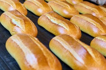 Freshly baked bread rolls exiting the bakery oven with a golden crust and soft texture in a bustling bakery environment