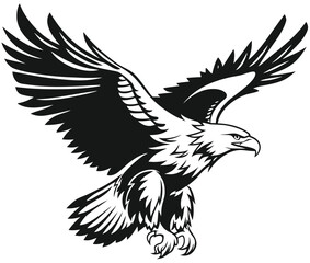 Eagle vector illustration design, flaying eagle 
