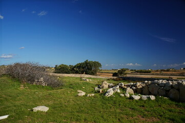 マルタの巨石神殿遺跡