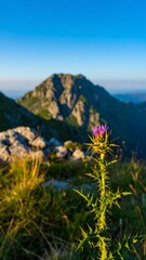A purple thistle in focus, with a blurry mountain range in the background under a clear blue sky
