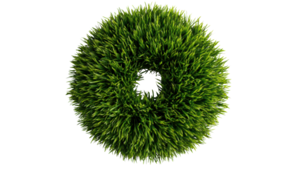 Circular wreath of lush green grass on a white isolated background.