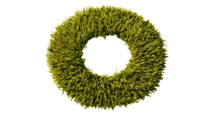 Green grass wreath isolated on a white background, perfect for decoration and nature-themed designs.