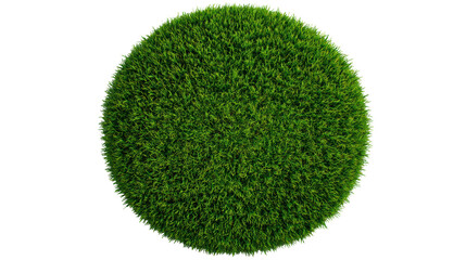 Round green grass patch isolated on a white background.