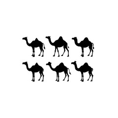 6 different camel silhouette vector icons set on w