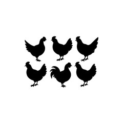 6 different chicken silhouette vector icons set on