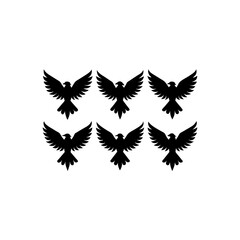 6 different eagle silhouette vector icons set on w