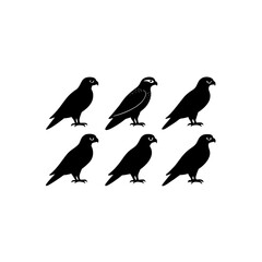 6 different falcon silhouette vector icons set on 