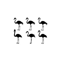 Obraz premium 6 different flamingo silhouette vector icons set o