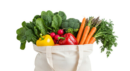 shopping bag with vegetables