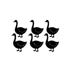 Fototapeta premium 6 different goose silhouette vector icons set on w