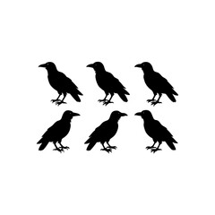 Fototapeta premium 6 different raven silhouette vector icons set on w