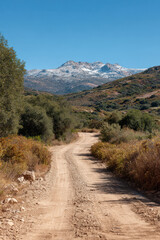 Fototapeta premium winding road meanders through lush forest leading to breathtaking landscapes beyond