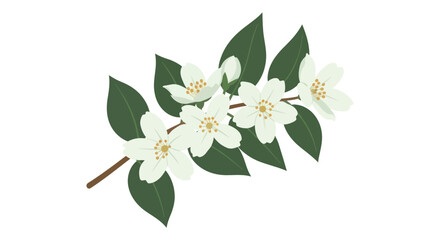 Obraz premium Elegant vector illustration featuring a flowering branch with delicate white blossoms and lush