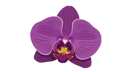Elegant botanical illustration of a vibrant purple orchid with intricate floral details and © jas