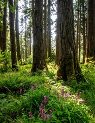 Lush forest floor with wildflowers (2)