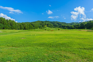 原山市民公園（高山市） 夏