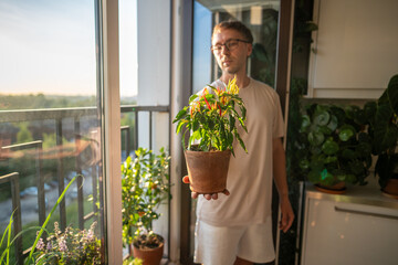 Man holding red hot chili pepper pot with balcony garden kitchen background. Home gardening, plant lover hobby, chili harvest check, indoor farming, spice cultivation, plant health of urban greenery