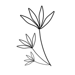 Floral line art vector art illustration
