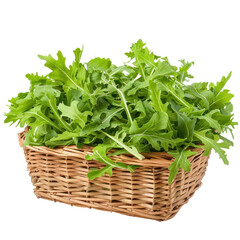 Naklejka premium Arugula Lettuce in basket isolate on transparency background