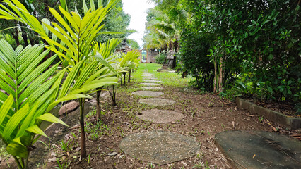 Beautiful and shady public park
