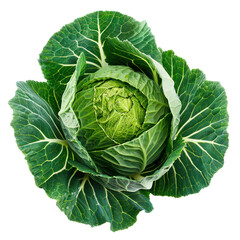 Obraz premium Green Cabbage, clipping path isolate on transparency background