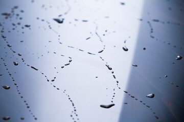 Water droplets on the surface of the car paint