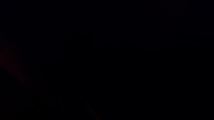 Confident businesswoman leading a dynamic presentation in a modern, light-filled conference room