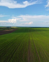 Obraz premium Aerial View of Farmland