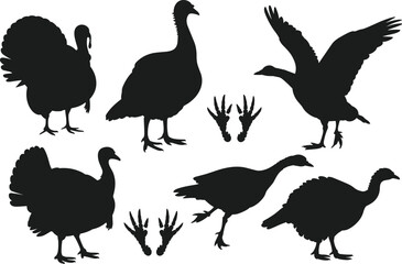 Turkey silhouette, wild bird vector, flying turkey design, Thanksgiving poultry illustration, farm animal graphic, holiday symbol, isolated turkey artwork