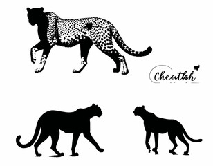 Cheetah Silhouette digital Art, Intricate Powerful and Ready for Print or Web, Sharp Details. Strong Identity. Timeless Design, Symbolize Strength, Courage, Logo, and Leadership
