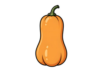 Isolated illustration of a butternut squash on white background