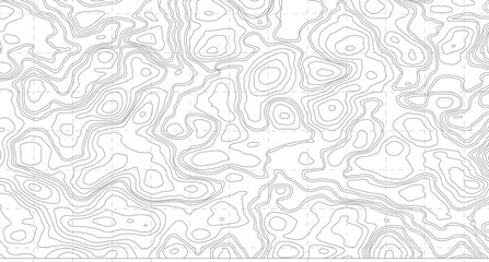 Abstract wavy background. topographic contour background. contour lines background. Topographic map contour background.
