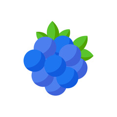 Vibrant blue raspberry cluster berry vector illustration scalable graphic for food and health designs