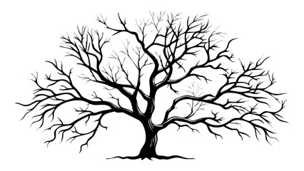 Illustration of a bare tree with intricate branches against a white background in black and white style