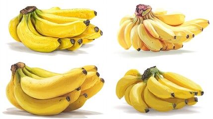 Four digital illustrations of banana bunches, showcasing variations in size, shape, and color; some are bright yellow, others show slight green and red hues, all on a white background