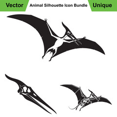 Pteranodon Anatomy Trio with Soaring Pose, Skull, and Skeleton © GraphicPro