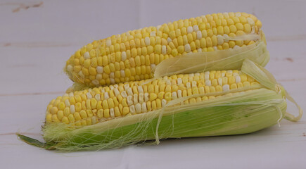 Fresh sweet corn cobs with husks partially peeled on white background