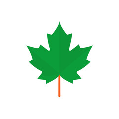Fototapeta premium Vibrant green maple leaf autumn detail vector illustration scalable graphic